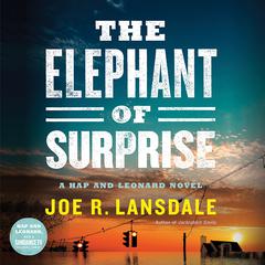 The Elephant of Surprise Audiobook, by Joe R. Lansdale