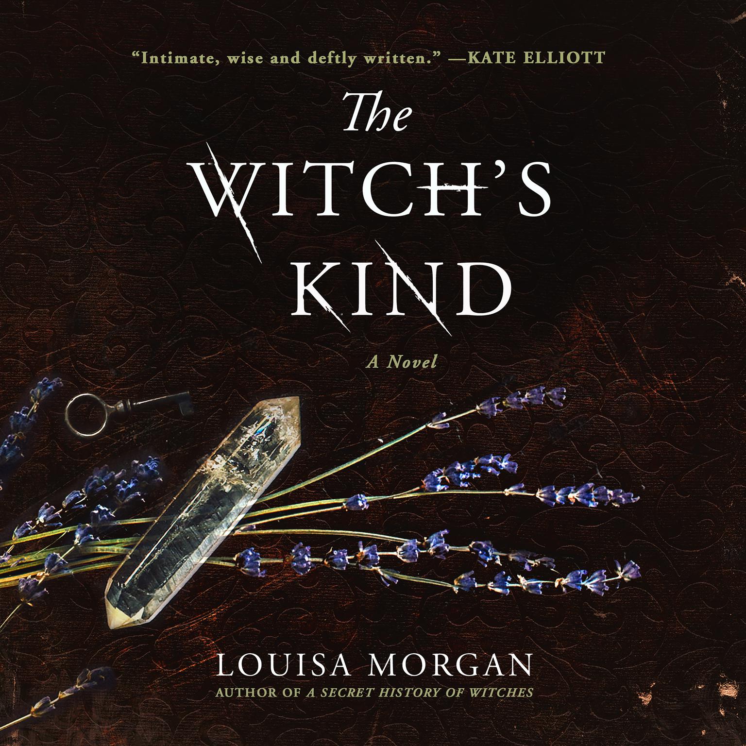 The Witchs Kind: A Novel Audiobook, by Louisa Morgan