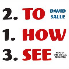 How to See: Looking, Talking, and Thinking About Art Audiobook, by David Salle