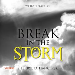 Break in the Storm Audiobook, by Sherryl D. Hancock