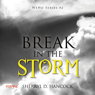 Break in the Storm Audiobook, by Sherryl D. Hancock