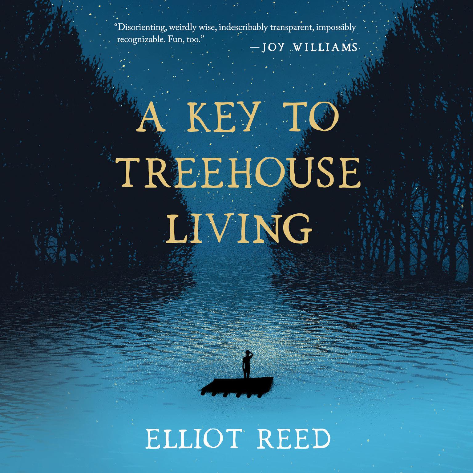 A Key to Treehouse Living Audiobook, by Elliot Reed