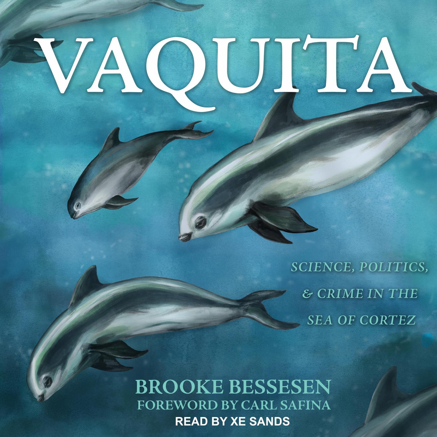 Vaquita: Science, Politics, and Crime in the Sea of Cortez Audiobook, by Brooke Bessesen