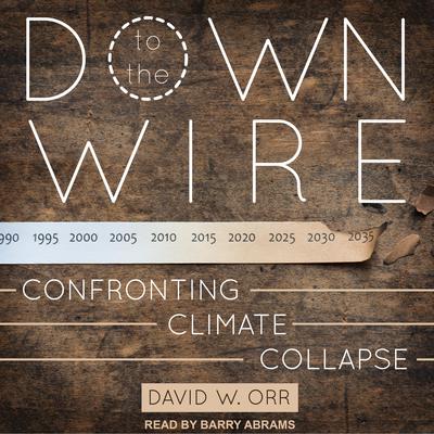 Down to the Wire: Confronting Climate Collapse Audiobook, by David W. Orr