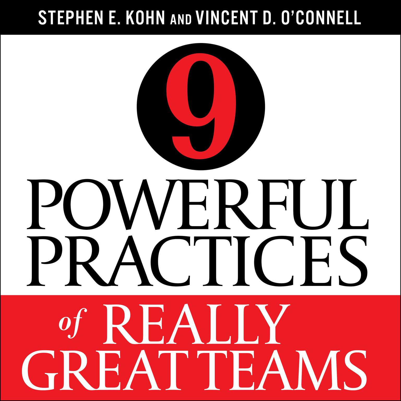 9 Powerful Practices of Really Great Teams Audiobook