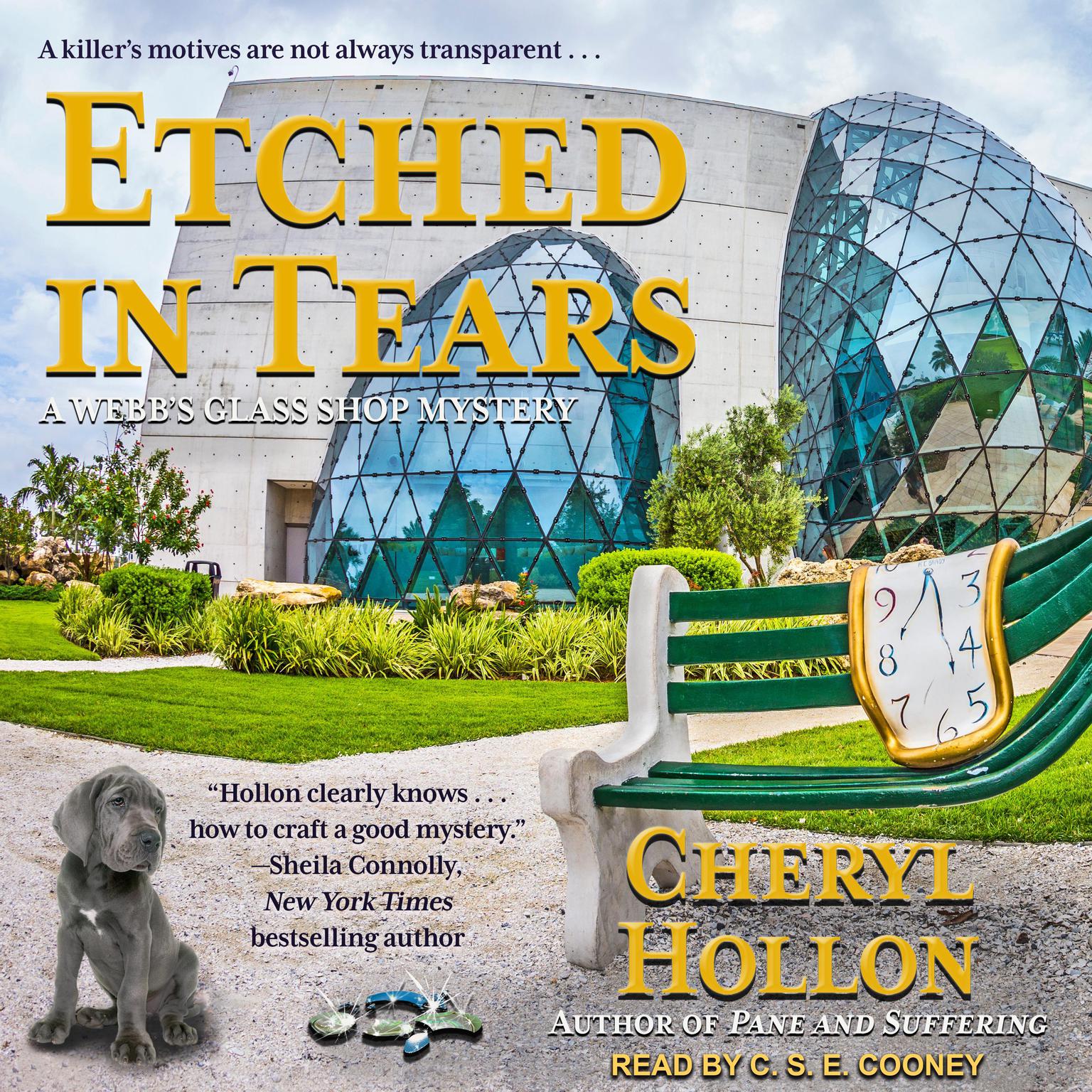 Etched in Tears Audiobook, by Cheryl Hollon