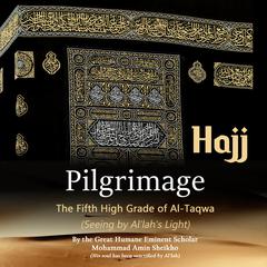 Pilgrimage Hajj: The Fifth High Grade of Al-Taqwa Audiobook, by Mohammad Amin Sheikho