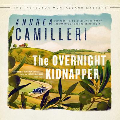 The Overnight Kidnapper Audiobook, by 