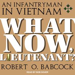 What Now, Lieutenant? Audiobook, by Robert O. Babcock