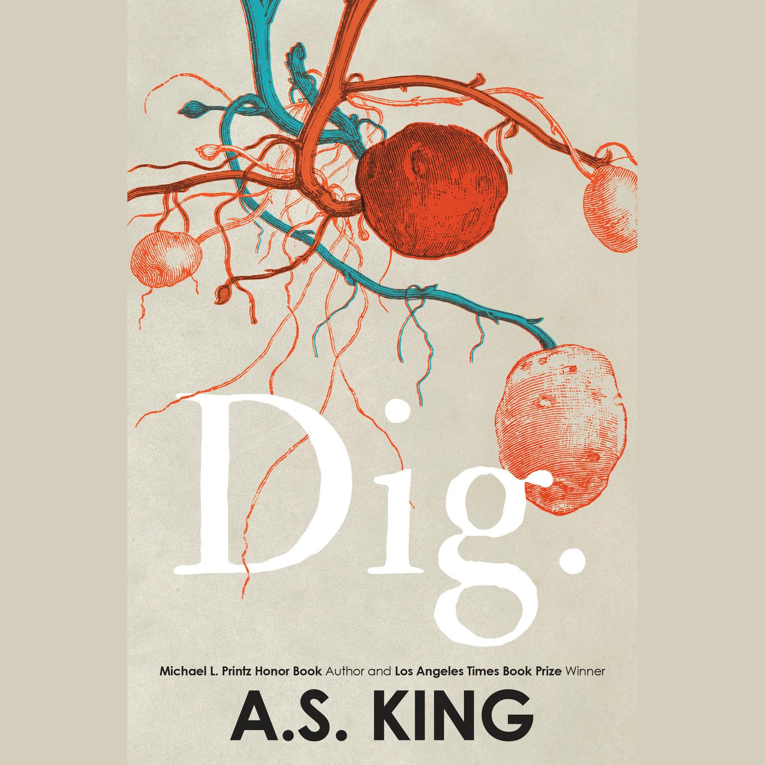 Dig Audiobook, by A. S. King