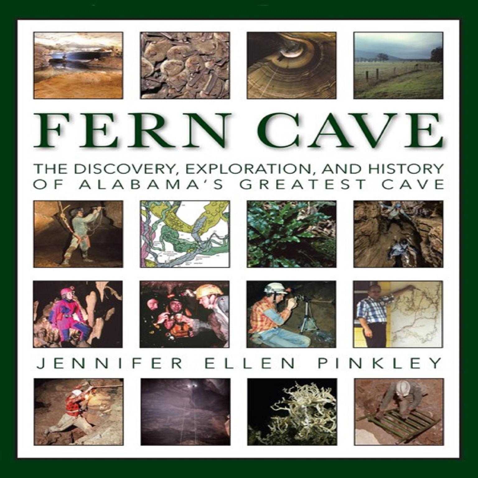 Fern Cave: The Discovery, Exploration, and History of Alabamas Greatest Cave Audiobook, by Jennifer Pinkley