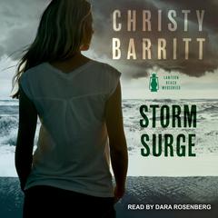 Storm Surge Audiobook, by Christy Barritt