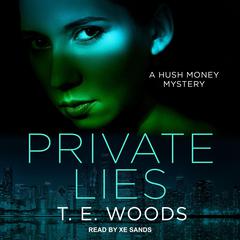 Private Lies Audiobook, by 
