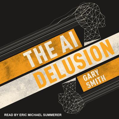 The AI Delusion Audiobook, by Gary Smith