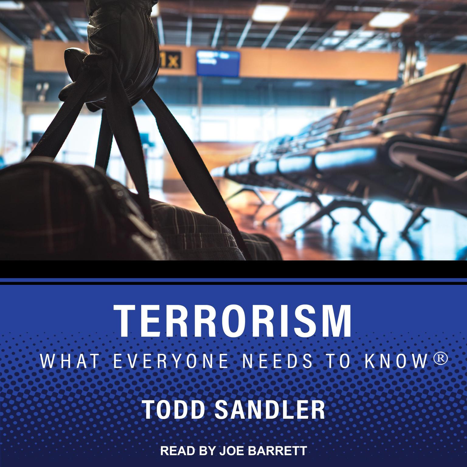 Terrorism: What Everyone Needs to Know Audiobook, by Todd Sandler