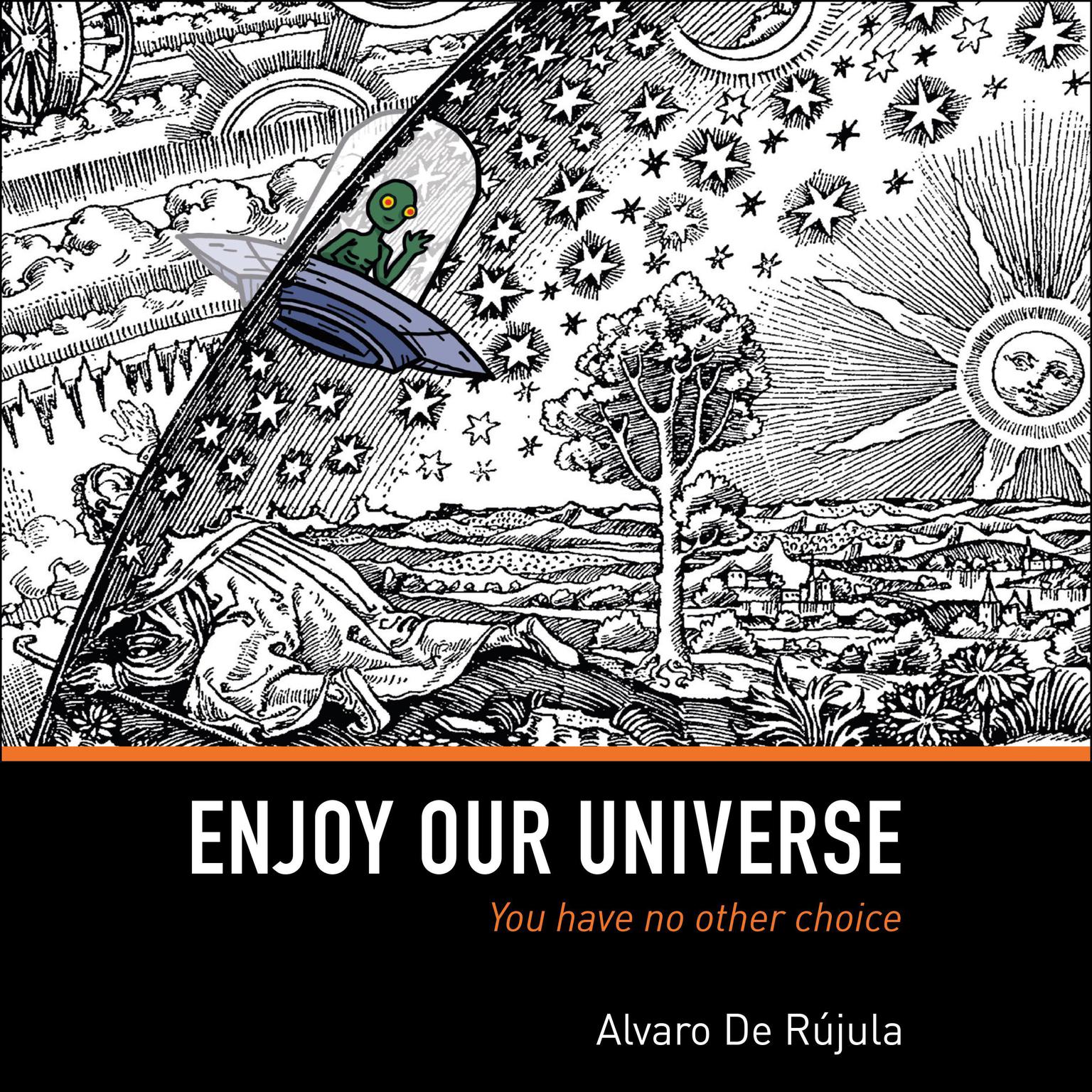 Enjoy Our Universe: You Have No Other Choice Audiobook, by Alvaro De Rújula