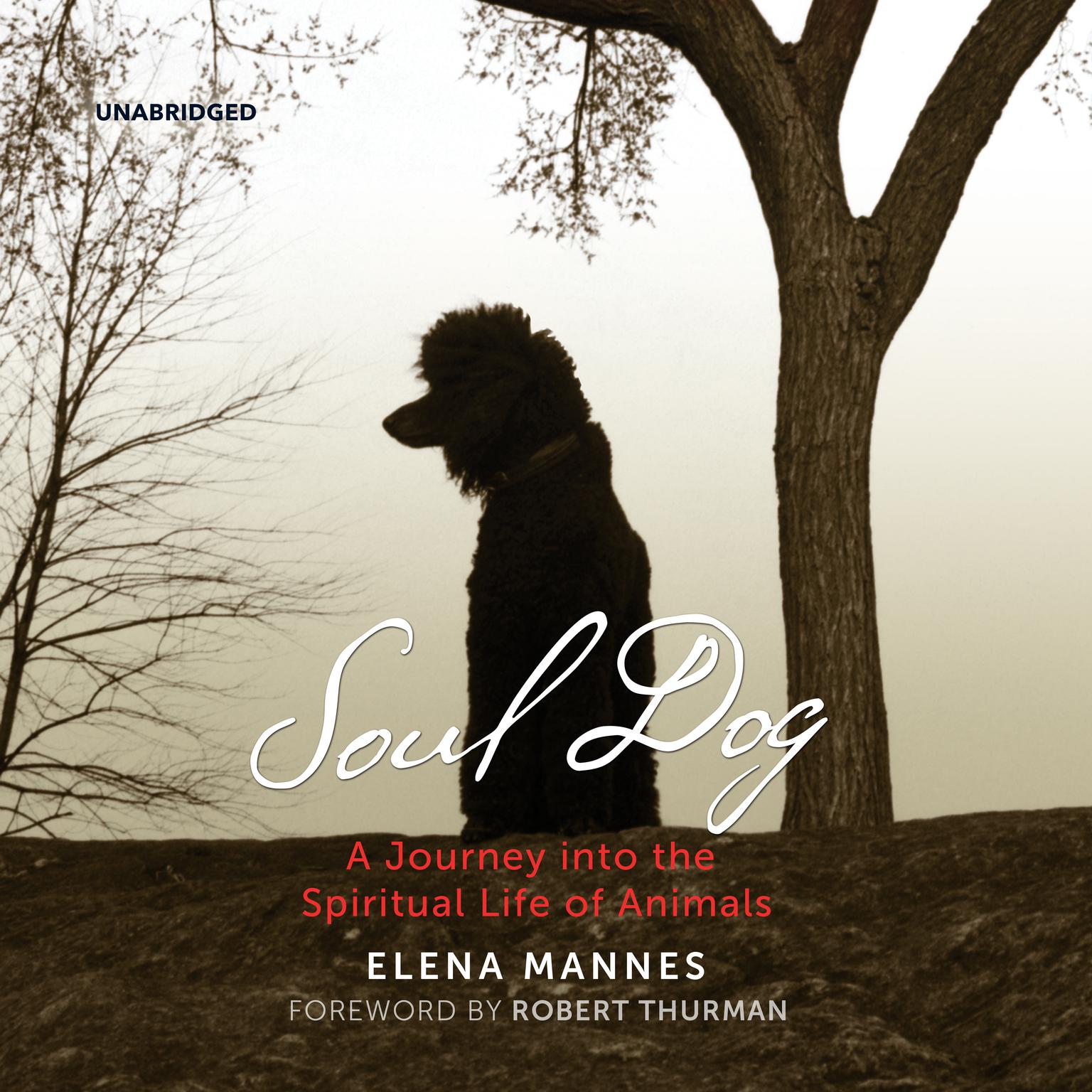Soul Dog:  A Journey into the Spiritual Life of Animals Audiobook, by Elena Mannes
