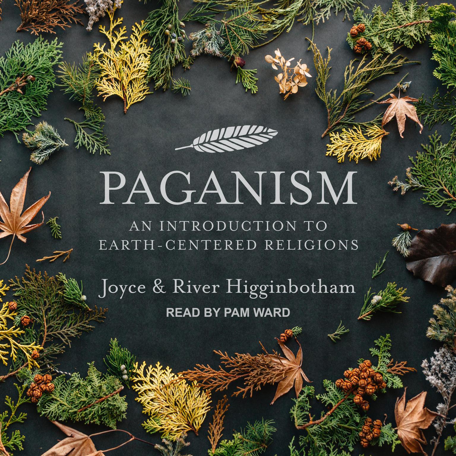 Paganism: An Introduction to Earth-Centered Religions Audiobook, by Joyce Higginbotham