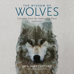 The Wisdom of Wolves: Lessons from the Sawtooth Pack Audiobook, by Jim Dutcher