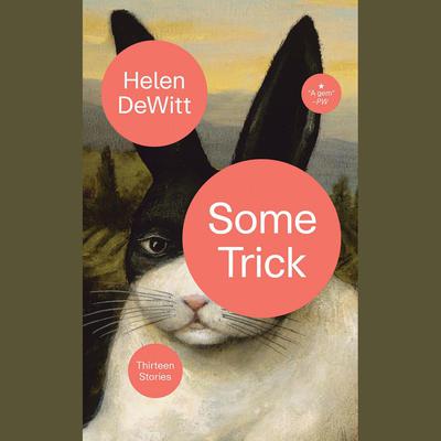 Some Trick: Thirteen Stories Audiobook, by Helen DeWitt
