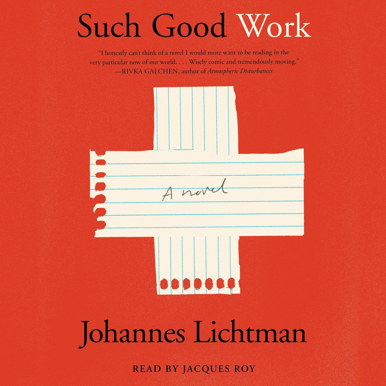 Such Good Work: A Novel Audiobook, by Johannes Lichtman