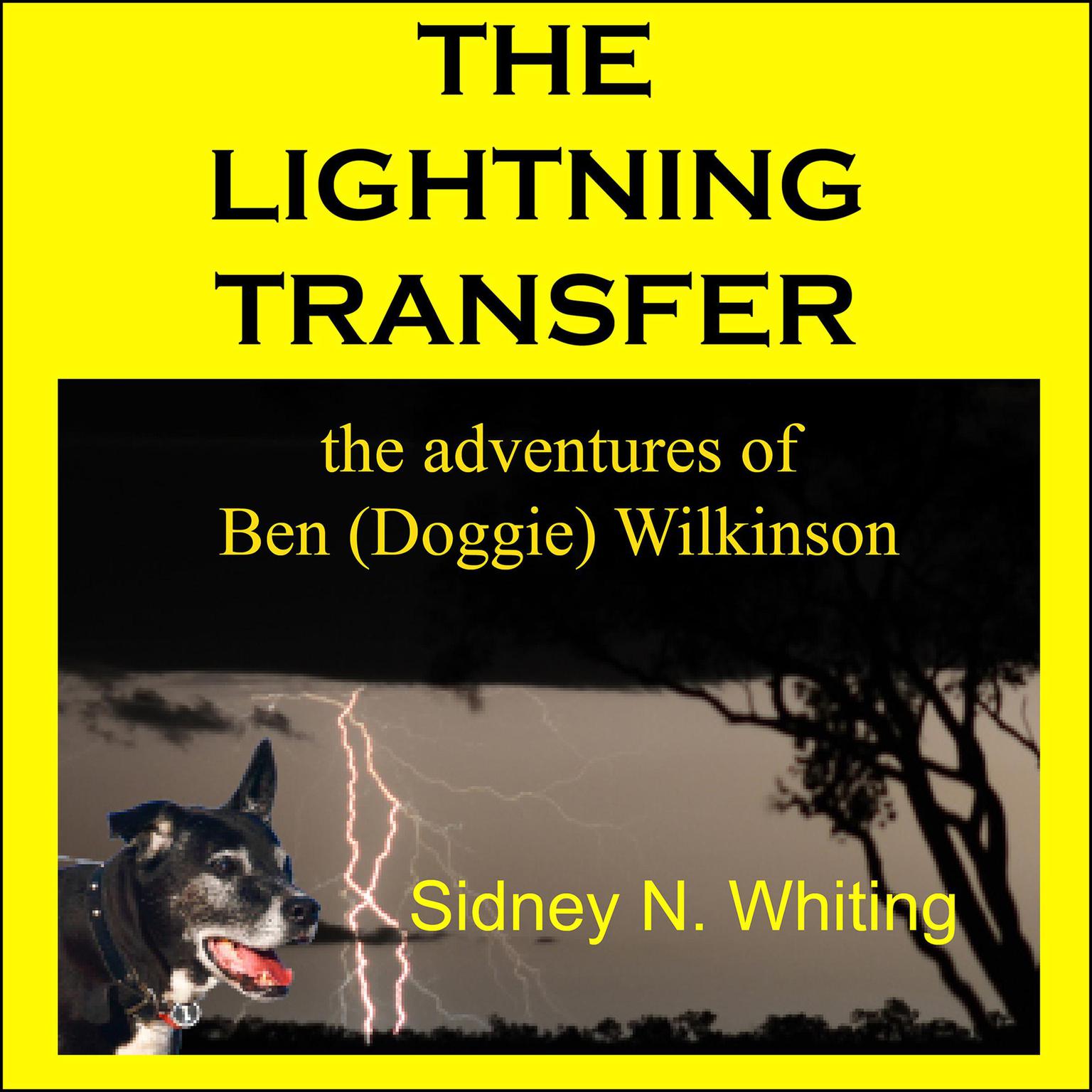 The Lightning Transfer: The Adventures of Ben (Doggie) Wilkinson Audiobook, by Sidney N Whiting