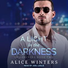 A Light in the Darkness Audiobook, by Alice Winters