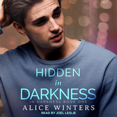 Hidden In Darkness Audiobook, by 