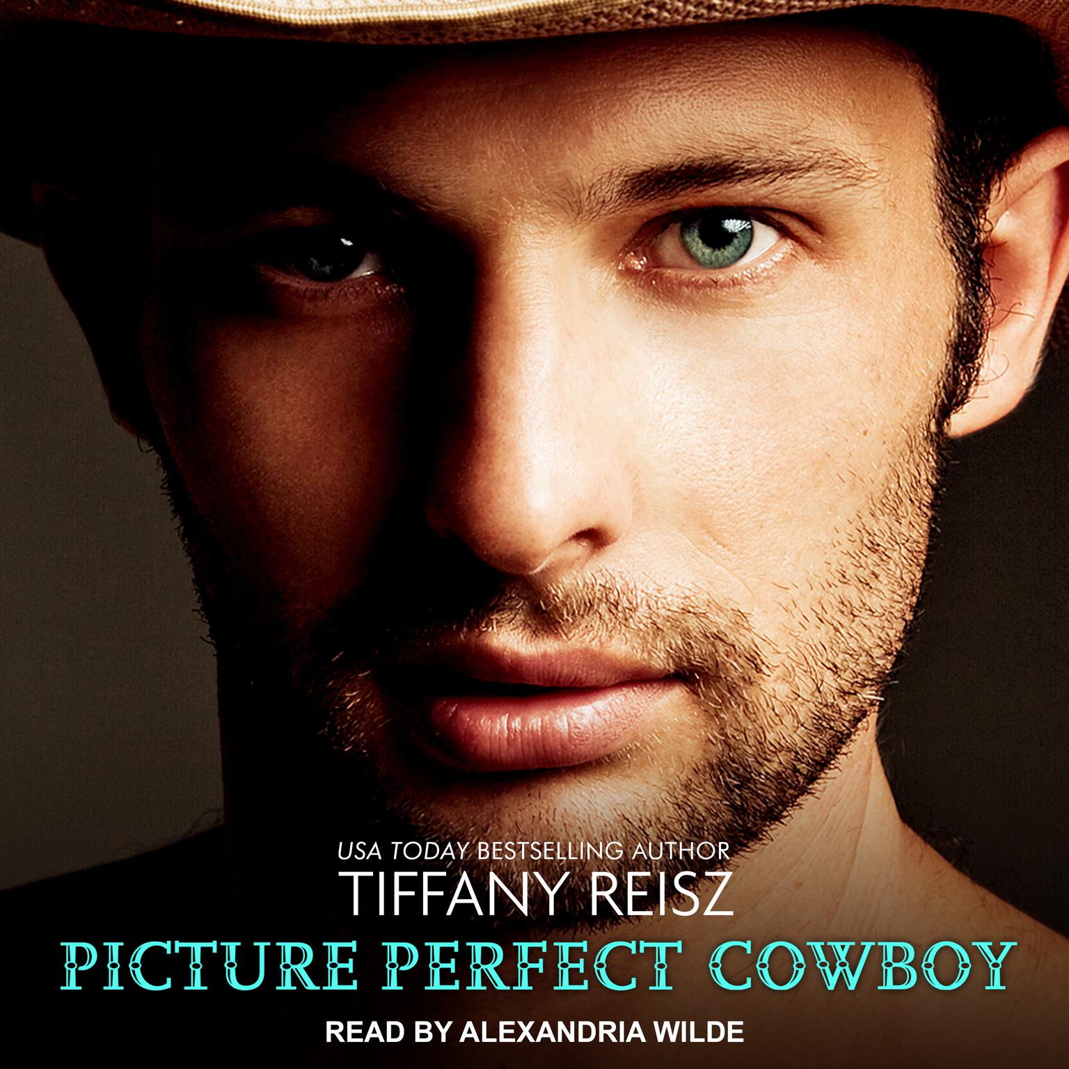 Picture Perfect Cowboy Audiobook, by Tiffany Reisz