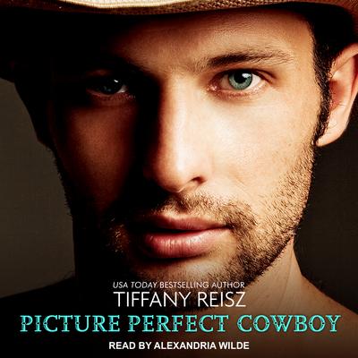 Picture Perfect Cowboy Audiobook, by Tiffany Reisz
