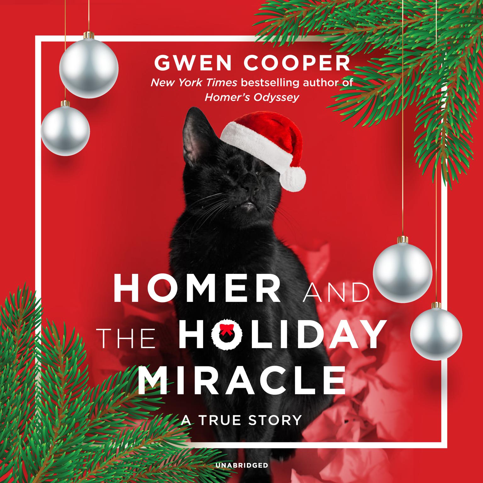 Homer and the Holiday Miracle: A True Story Audiobook, by Gwen Cooper