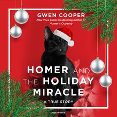 Homer and the Holiday Miracle: A True Story Audiobook, by 