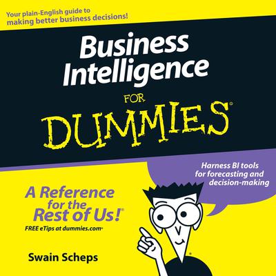 Business Intelligence For Dummies Audiobook, by Swain Scheps
