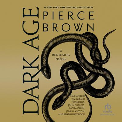 Dark Age Audiobook, by Pierce Brown