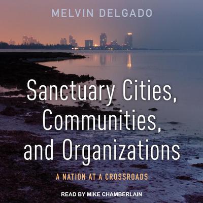 Sanctuary Cities, Communities, and Organizations: A Nation at a Crossroads Audiobook, by Melvin Delgado