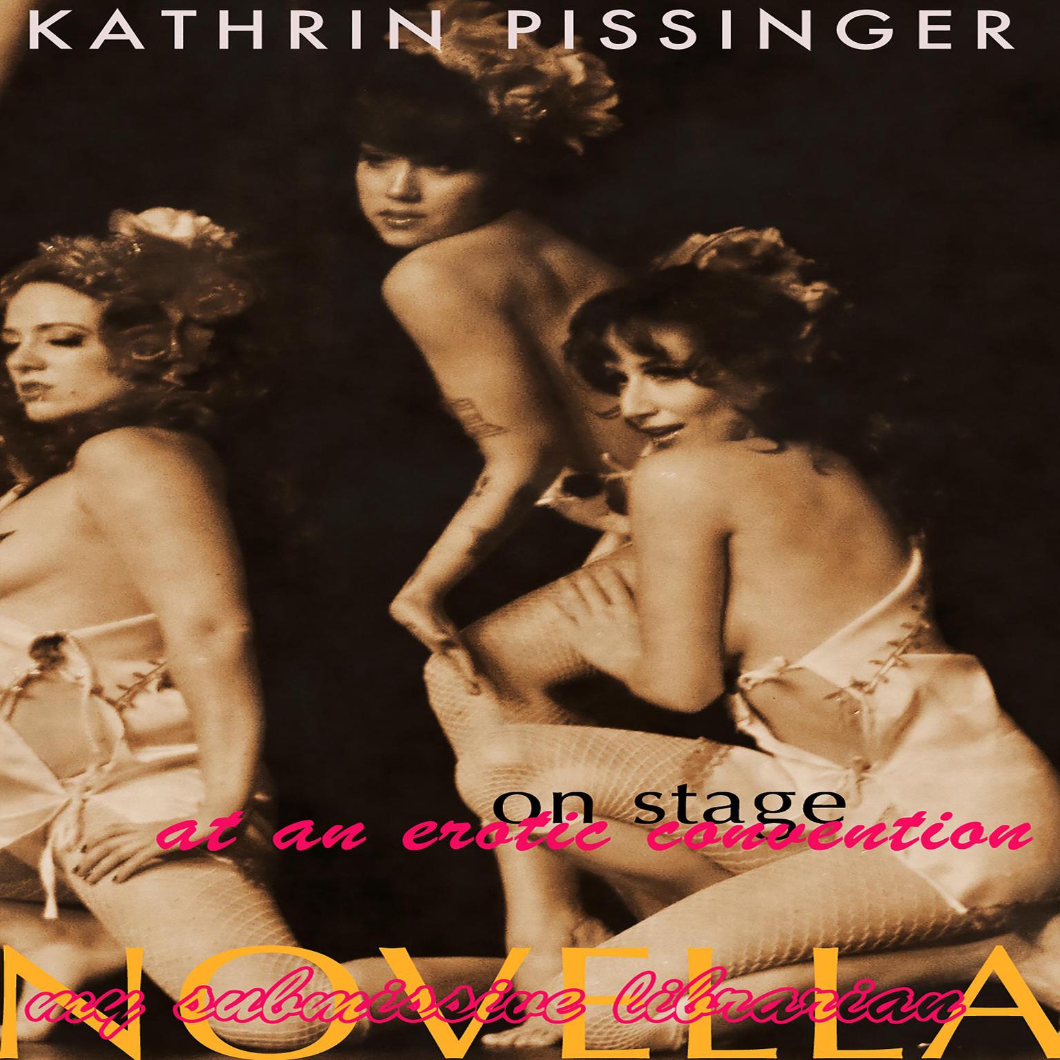 On Stage At An Erotic Convention Audiobook, by Kathrin Pissinger