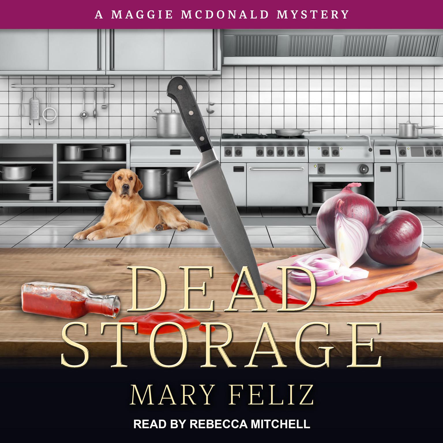 Dead Storage Audiobook, by Mary Feliz
