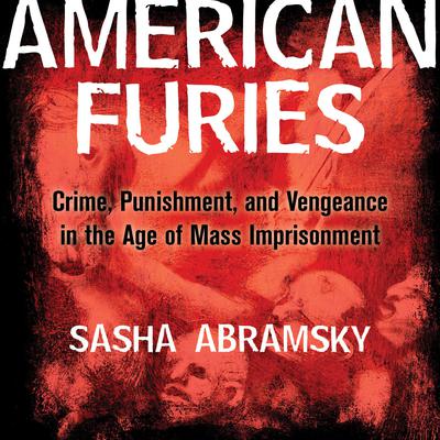 American Furies: Crime, Punishment, and Vengeance in the Age of Mass Imprisonment Audiobook, by Sasha Abramsky