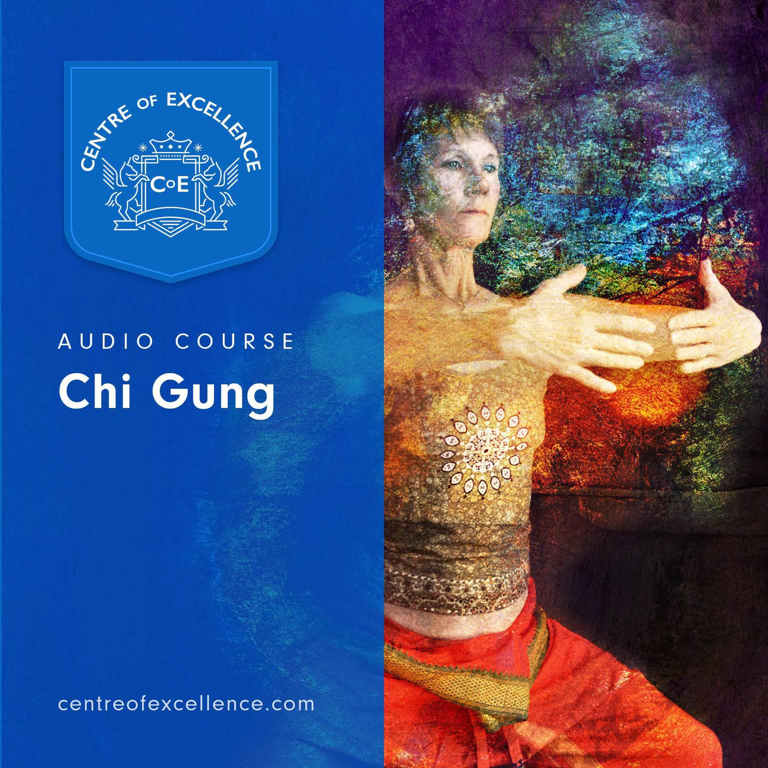 Chi Gung Audiobook, by Centre of Excellence