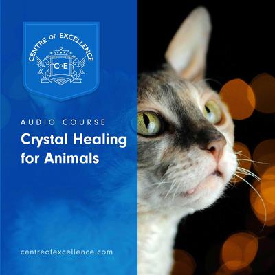 Crystal Healing for Animals Audiobook, by Centre of Excellence