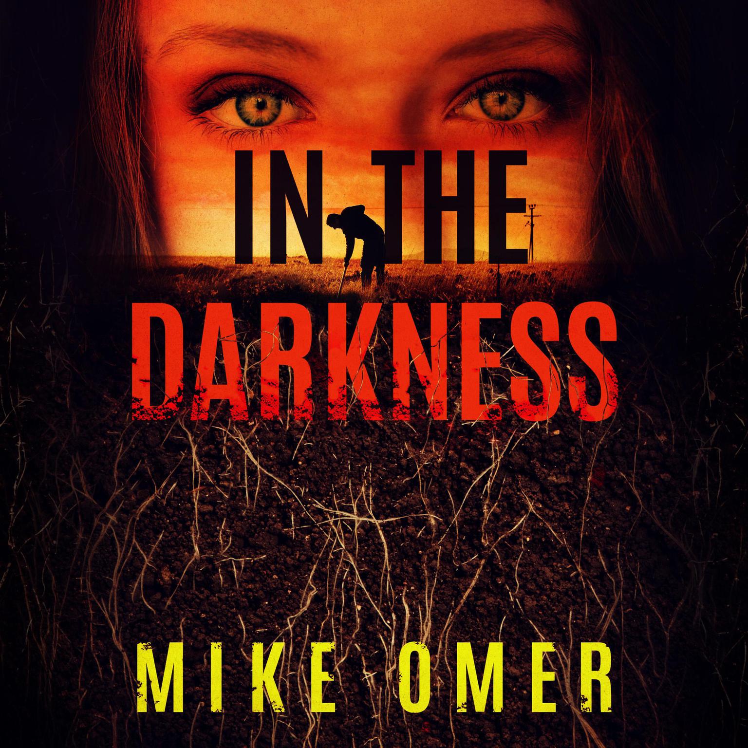 In the Darkness Audiobook, by Mike Omer