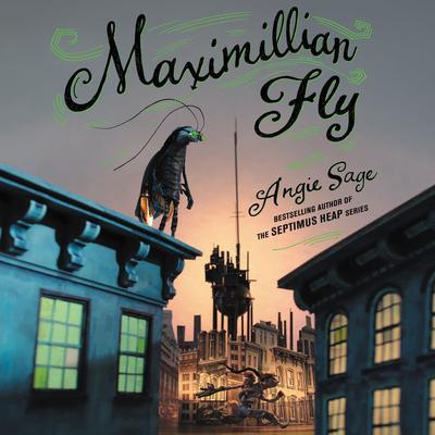 Maximillian Fly Audiobook, by Angie Sage