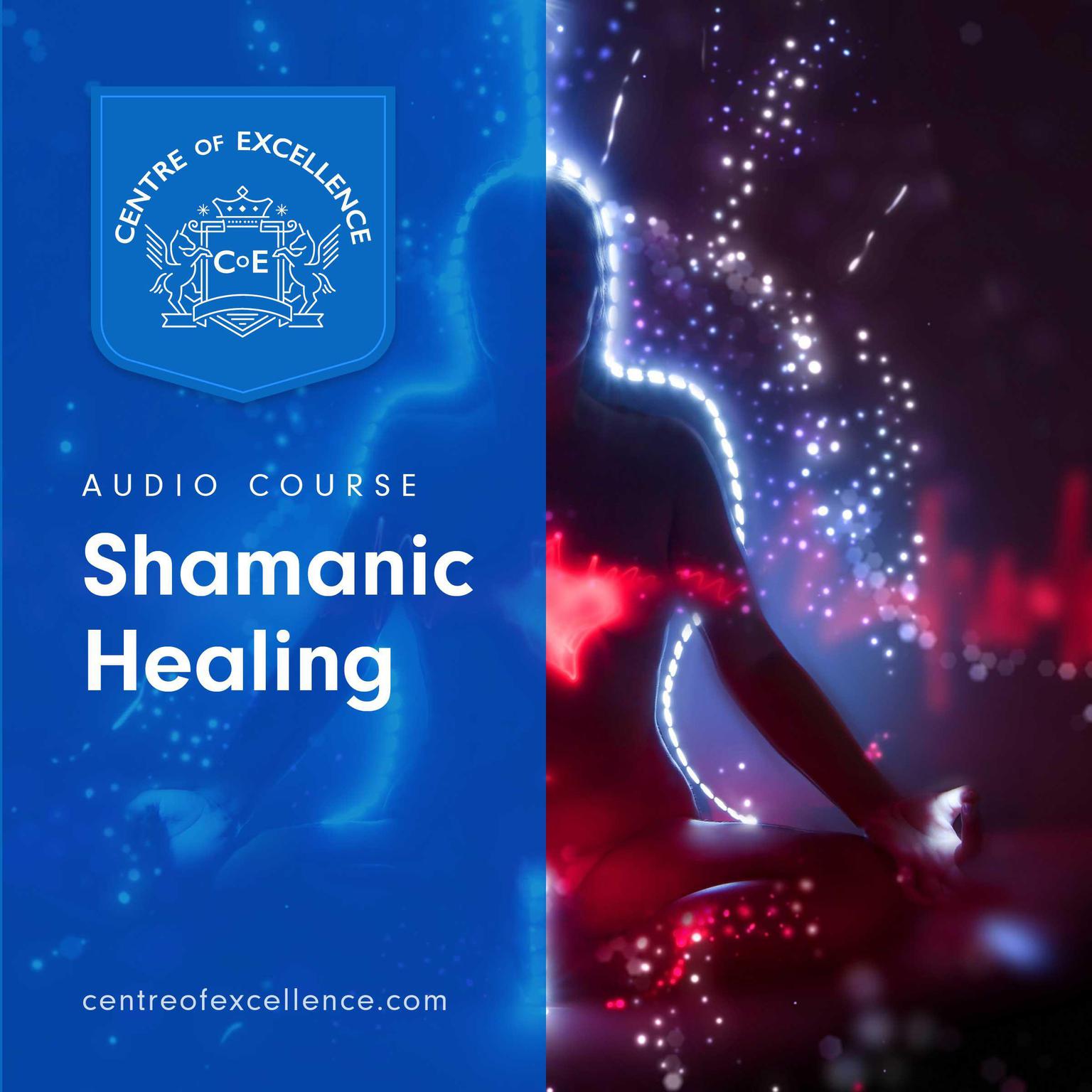 Shamanic Healing Audiobook, by Centre of Excellence