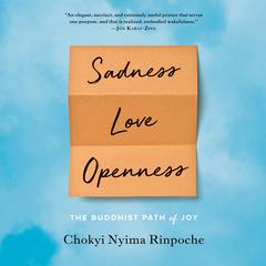 Sadness, Love, Openness: The Buddhist Path of Joy Audiobook, by Chokyi Nyima Rinpoche