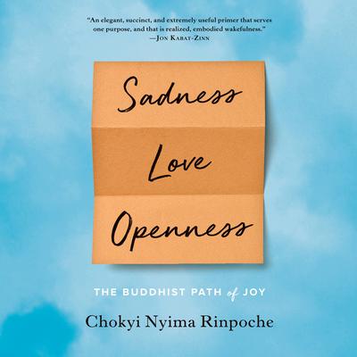 Sadness, Love, Openness: The Buddhist Path of Joy Audiobook, by 