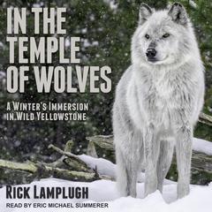 In the Temple of Wolves: A Winters Immersion in Wild Yellowstone Audiobook, by Rick Lamplugh