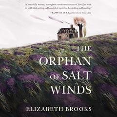 The Orphan of Salt Winds Audiobook, by Elizabeth Brooks