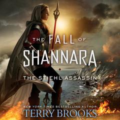 The Stiehl Assassin Audiobook, by Terry Brooks
