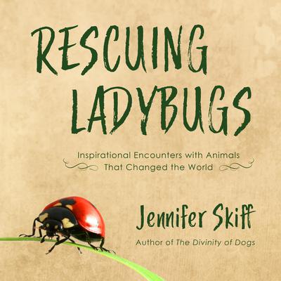 Rescuing Ladybugs: Inspirational Encounters with Animals That Changed the World Audiobook, by Jennifer Skiff