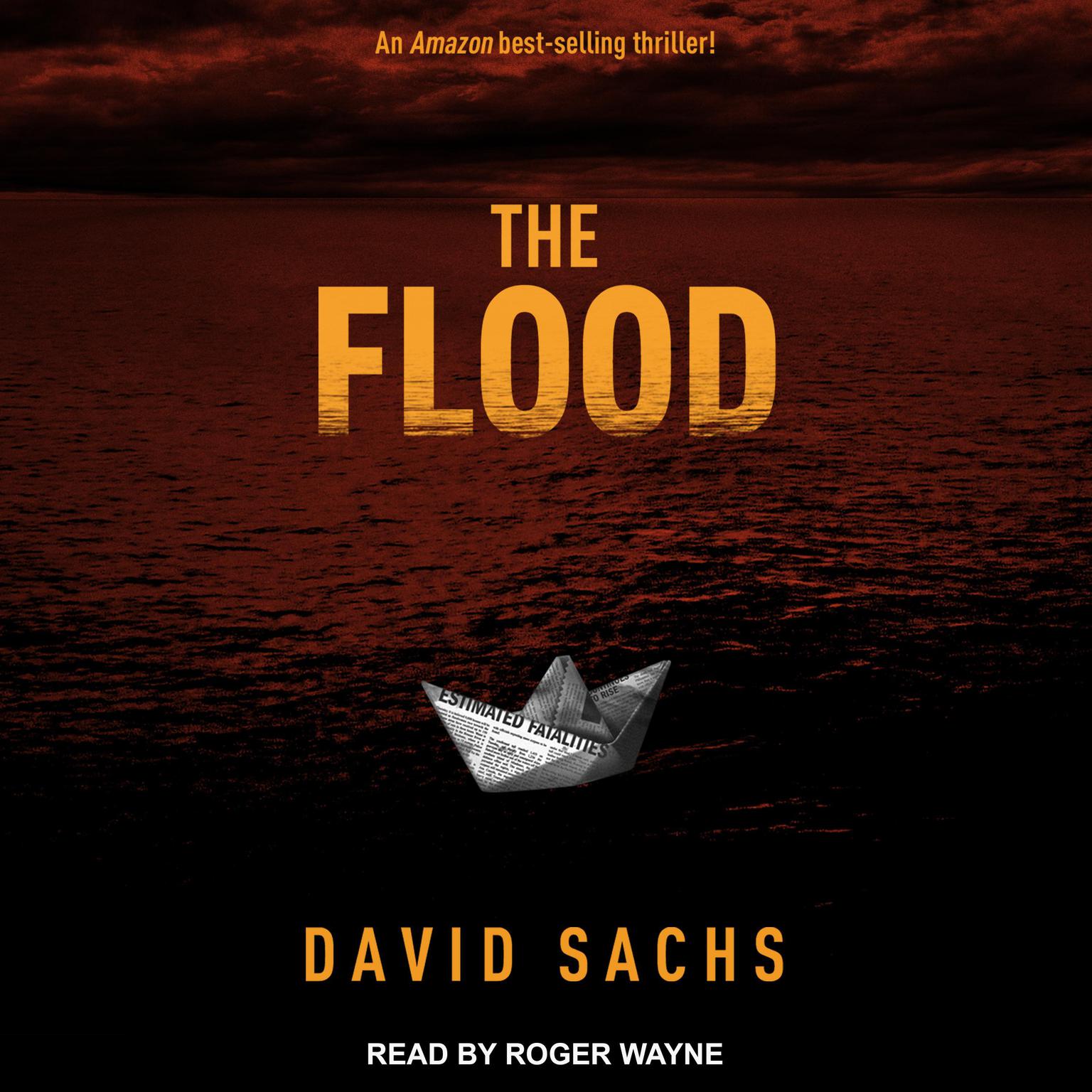The Flood Audiobook, by David Sachs